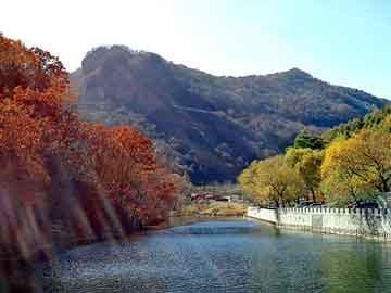 管家婆黑白马报图库，seo泛目录